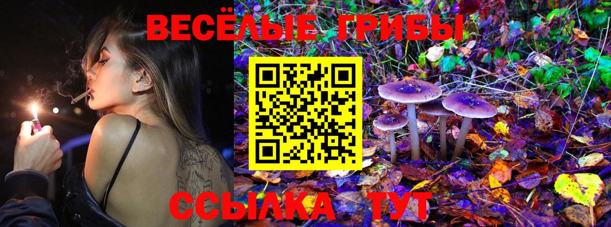 Галлюциногенные грибы ЛСД Азнакаево